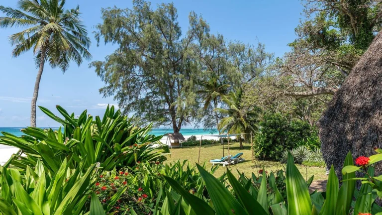 Beach banda and tropical gardens at The Sands at Nomad on Diani Beach