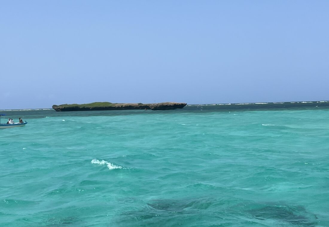 wasini island