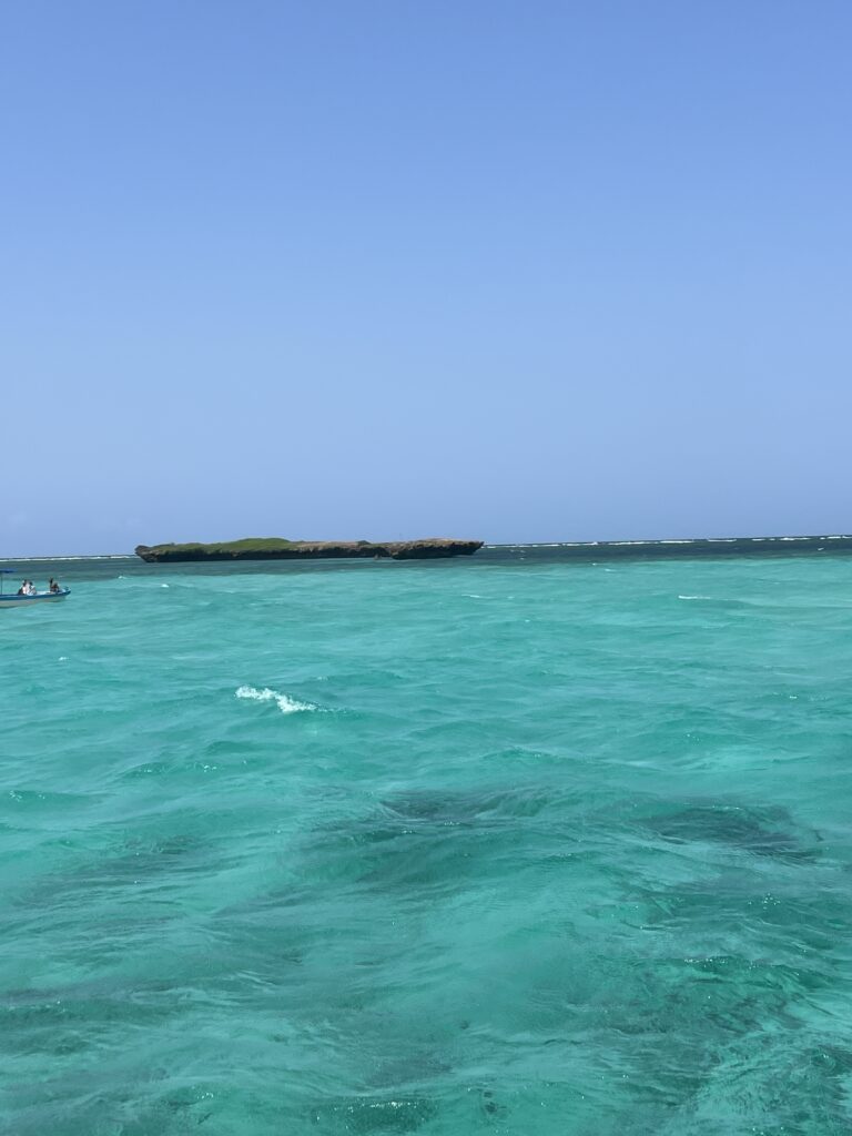 wasini island