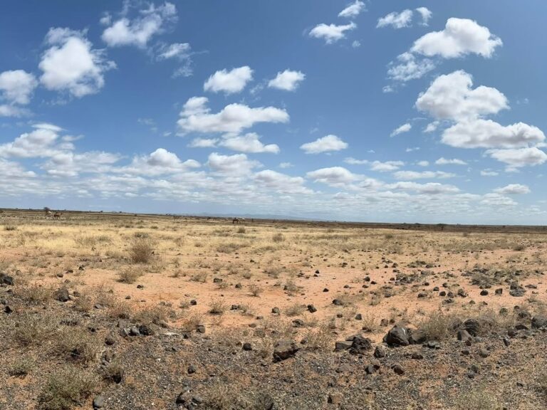 Chalbi desert Northern Kenya