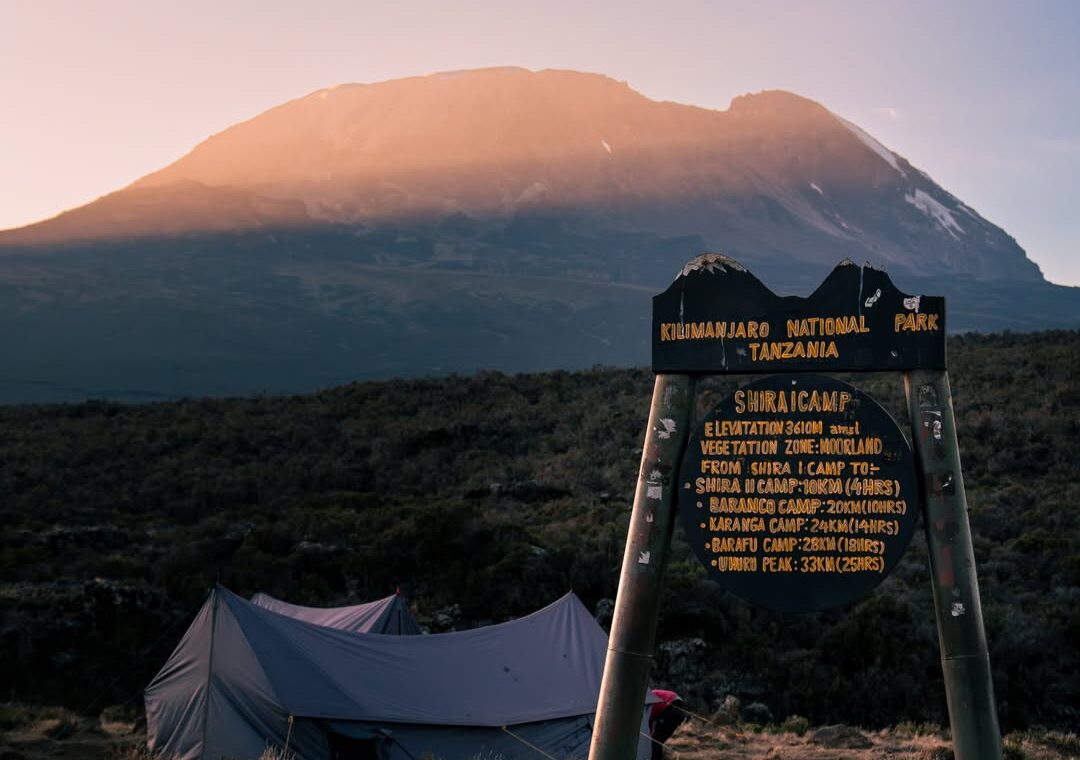 mount kilimanjaro for begginners