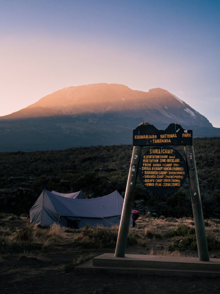 Shira 1 Camp at sunrise with Mount Kilimanjaro rising behind it