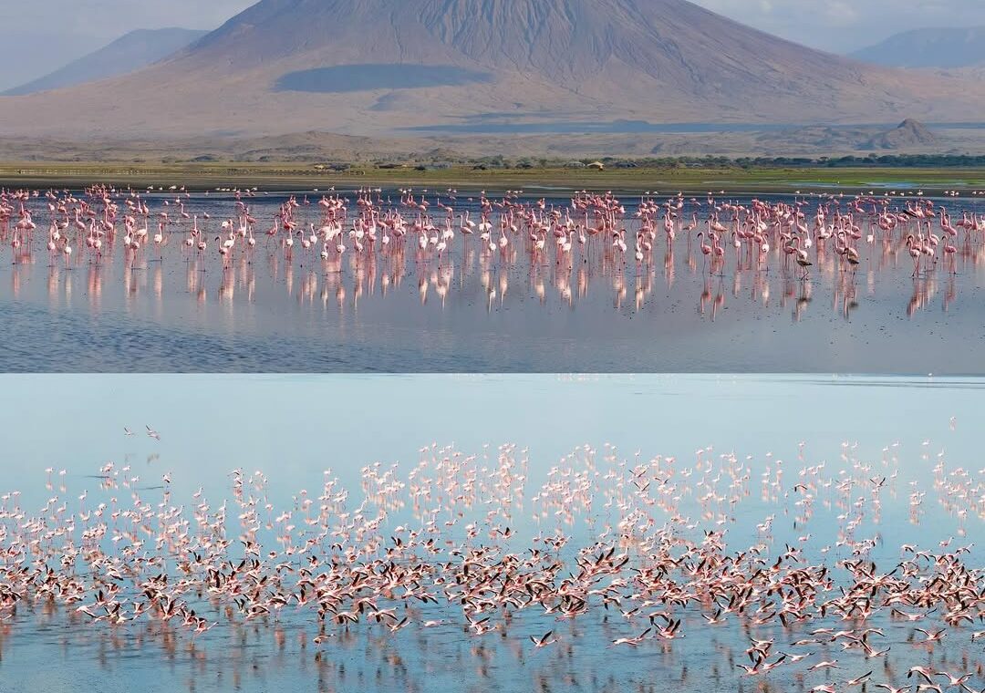 lake Natron