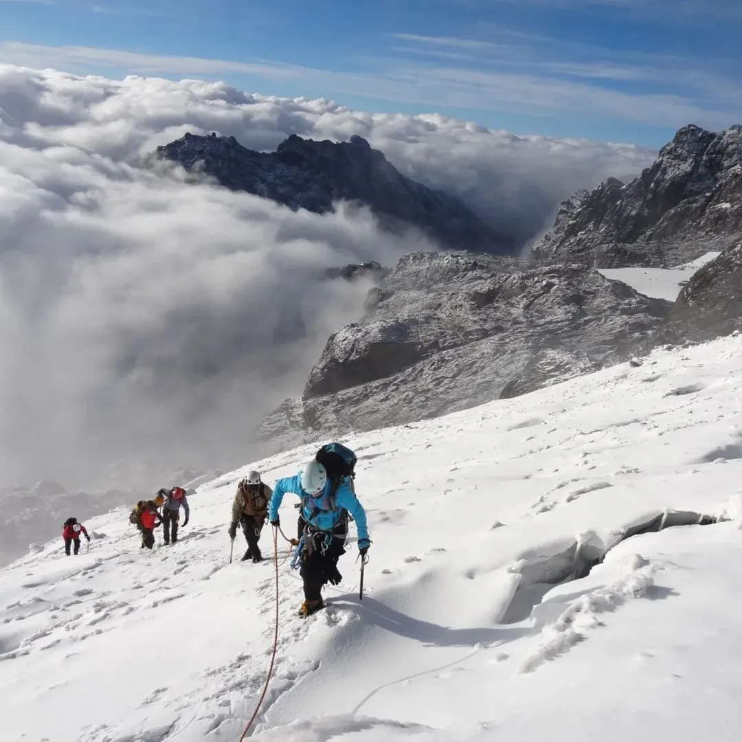 Mount ruwenzori national park Uganda