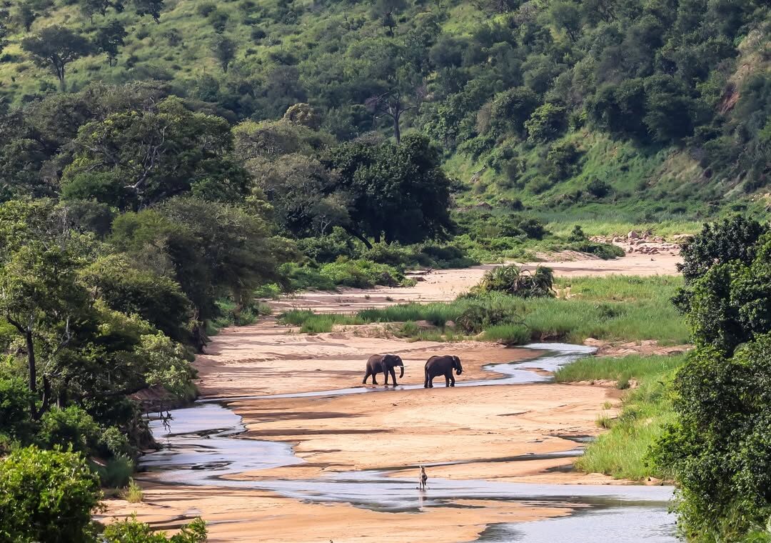 Kidepo Valley National Park