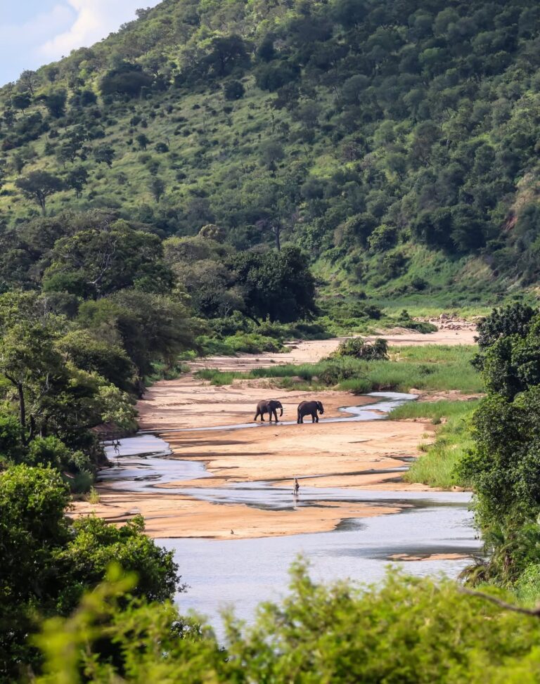 Kidepo Valley National Park