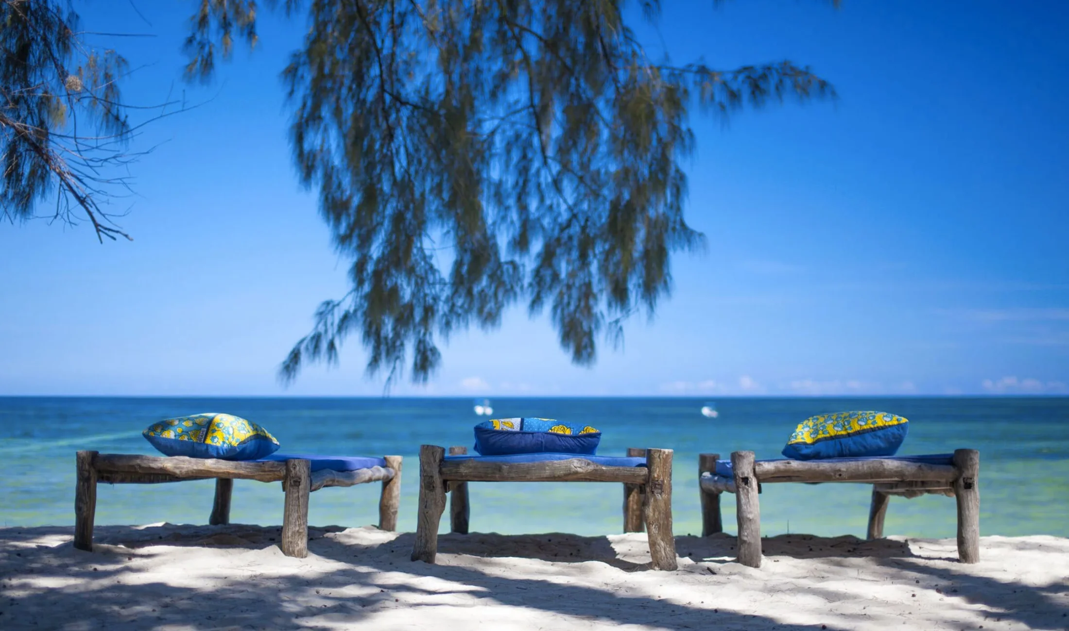 Beach loungers beneath casuarina trees at Kinondo Kwetu on Galu Beach