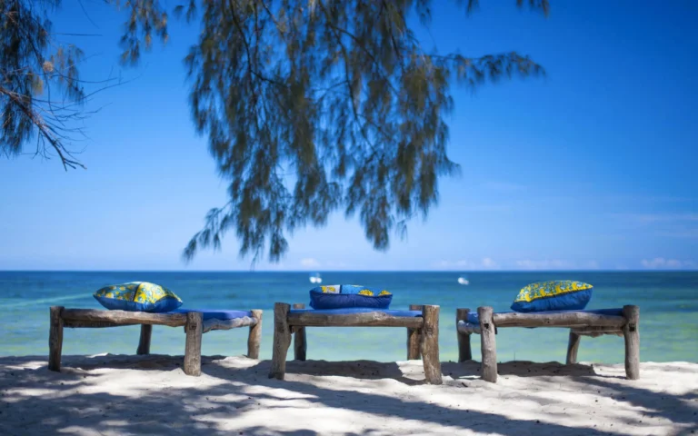 Beach loungers beneath casuarina trees at Kinondo Kwetu on Galu Beach