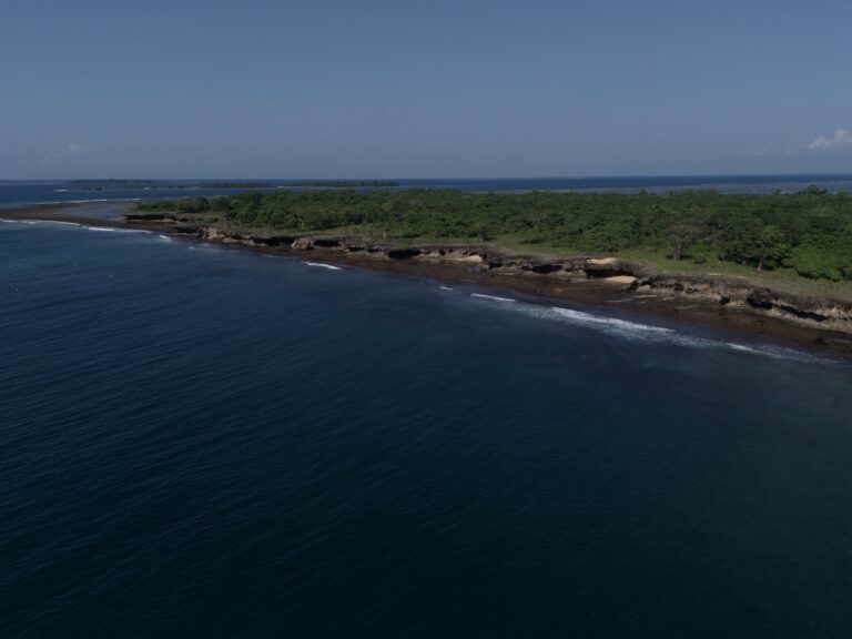 wasini island