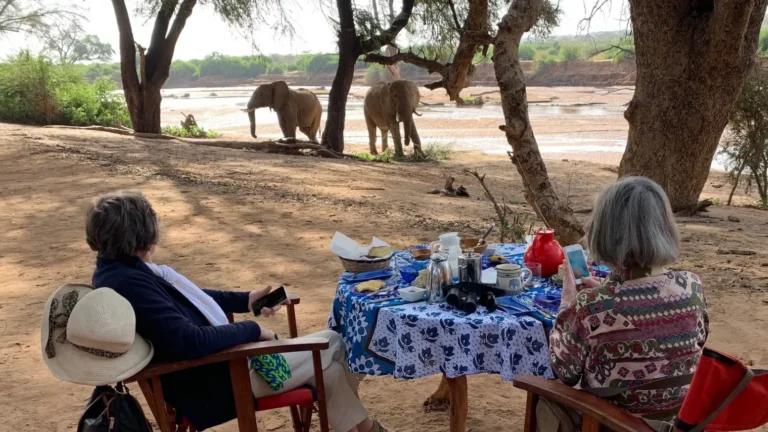Guests watching elephants beside the Ewaso Nyiro River at Elephant Watch Camp in Samburu.