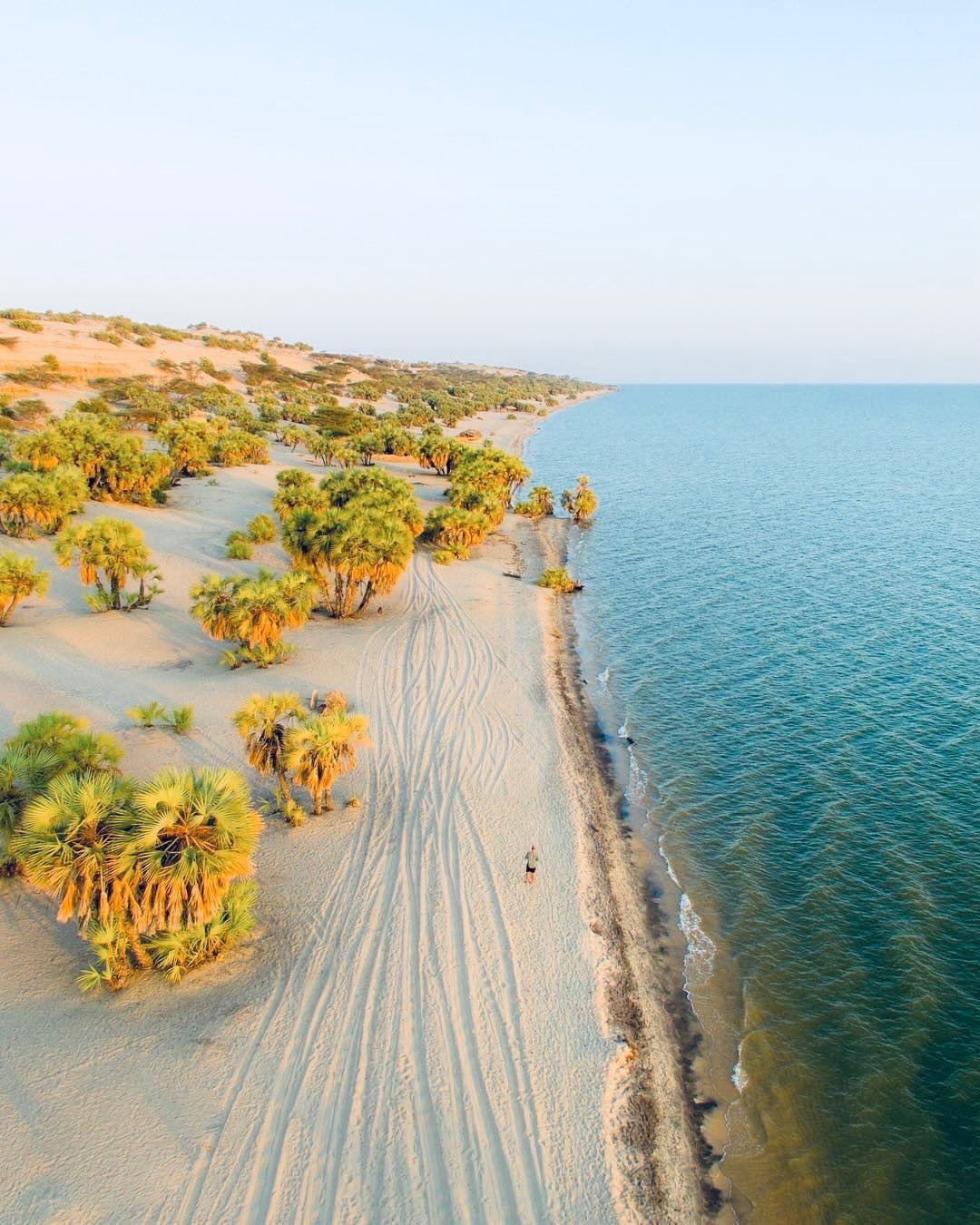 Palm-fringed shoreline and vehicle tracks at Eliye Springs on Lake Turkana