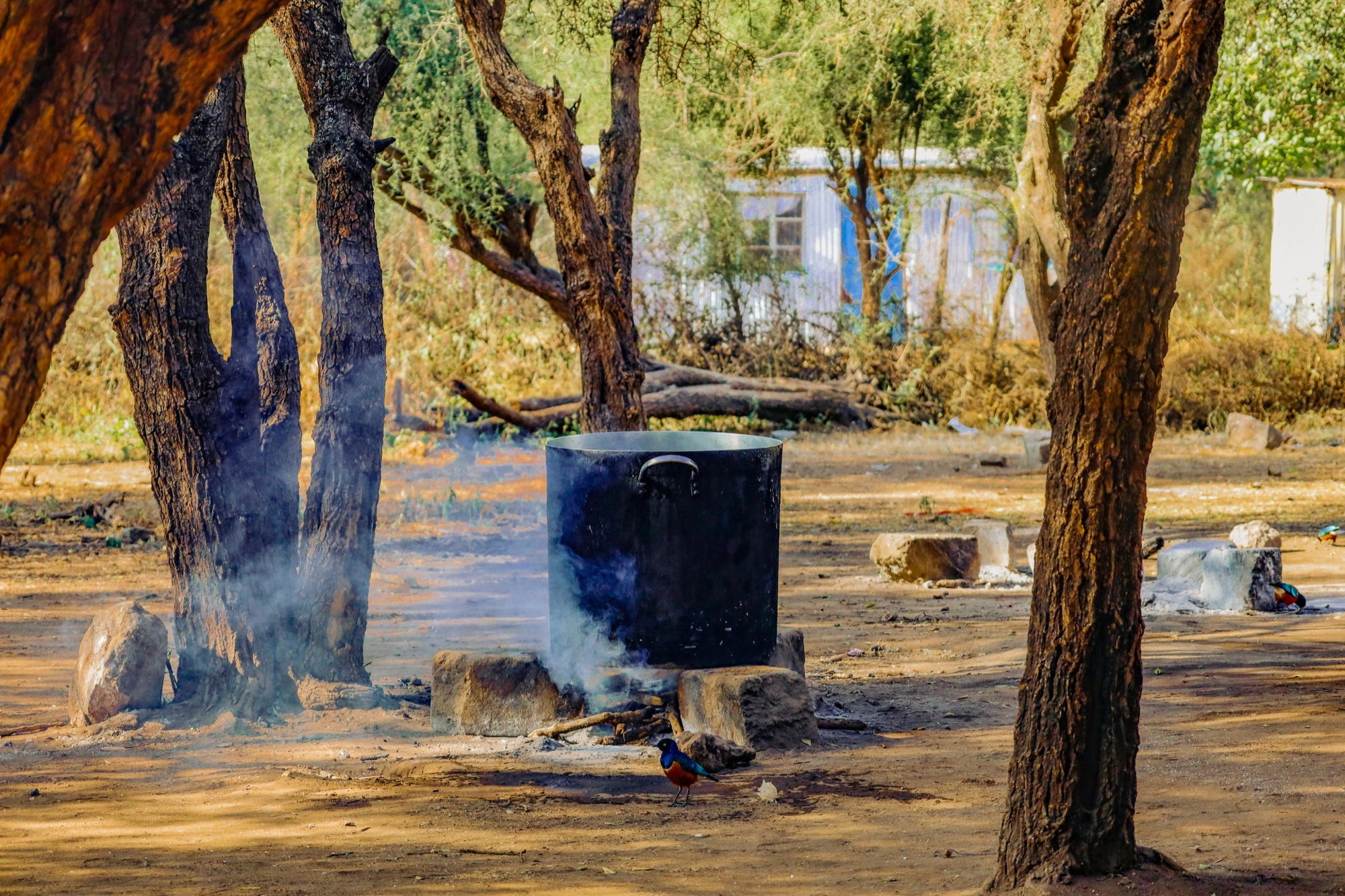 A large cooking pot heating over a wood fire at Enosampurpur Primary School.