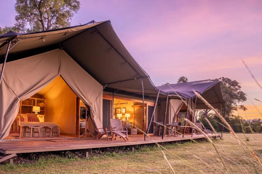 Canvas suites at Governors' Camp glowing at sunrise in the Maasai Mara.