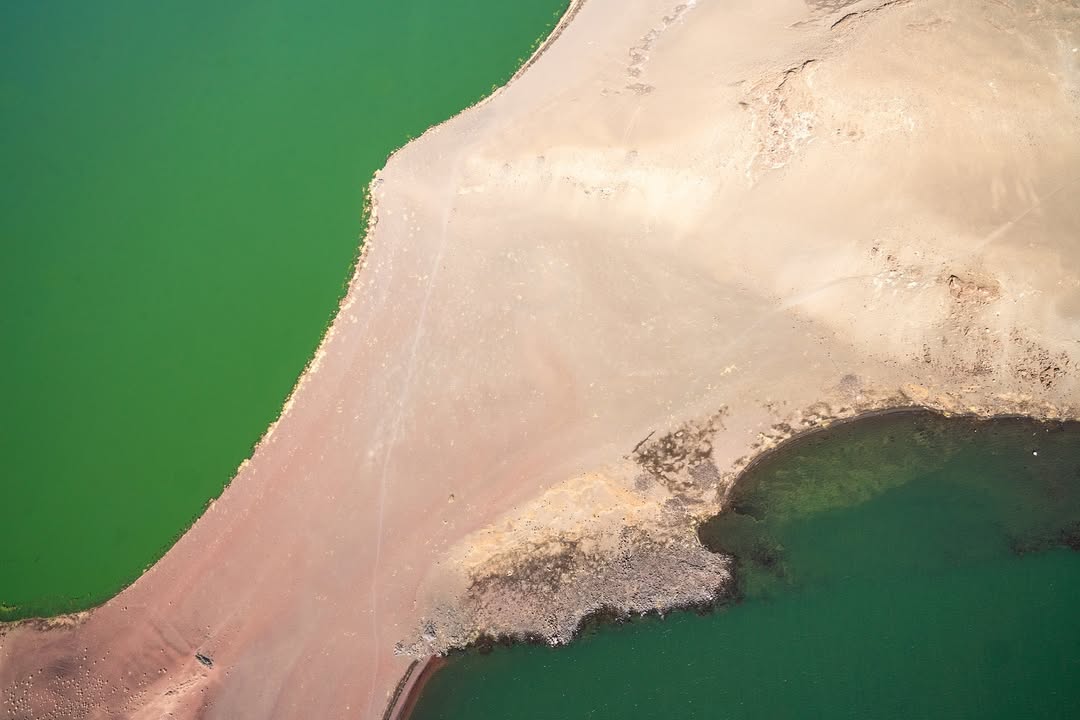 Pale volcanic shoreline dividing green waters at Lake Turkana