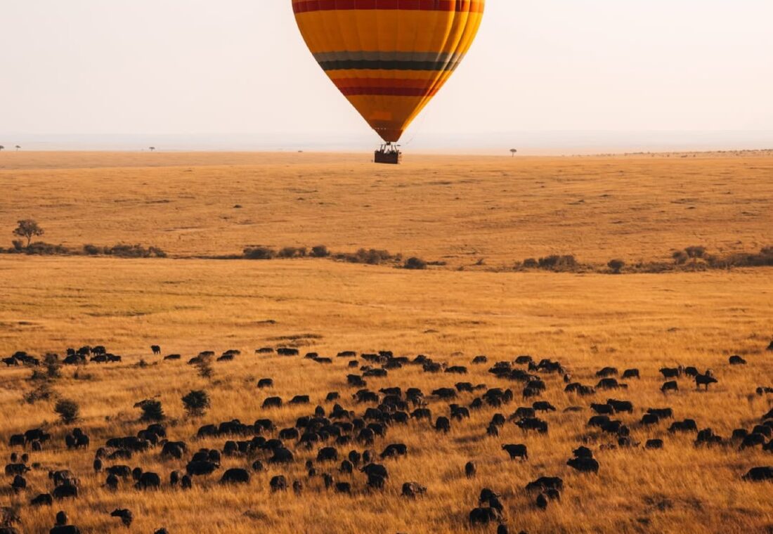 Hot-air balloon above wildebeest on the Maasai Mara plains