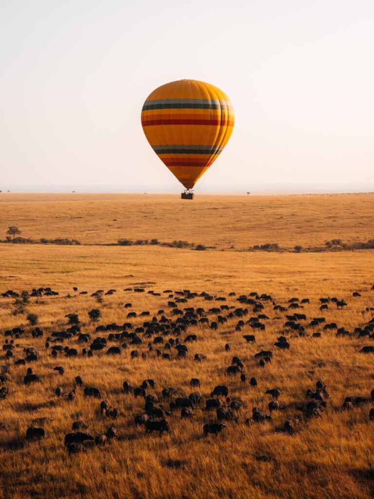 Hot-air balloon above wildebeest on the Maasai Mara plains