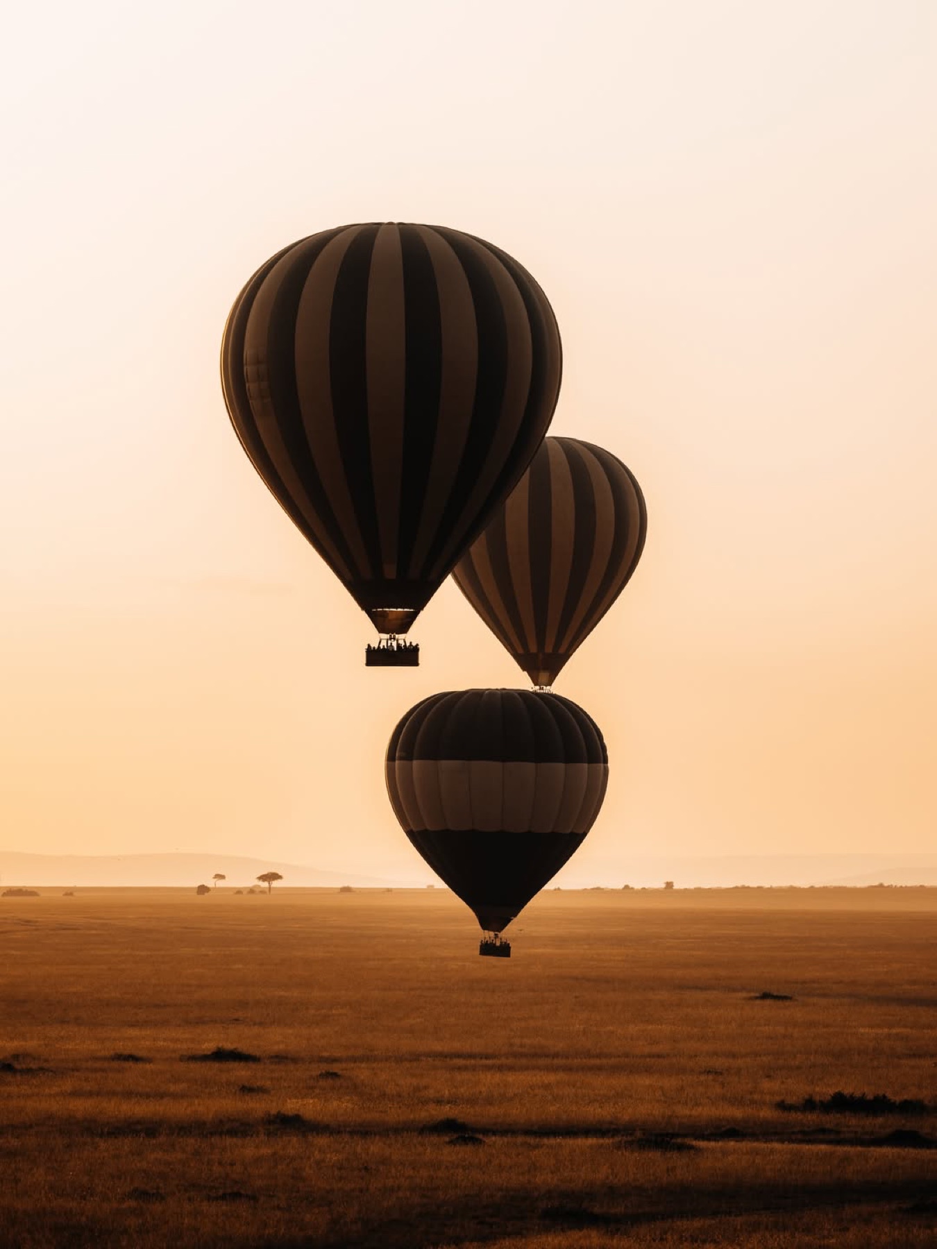 Hot-air balloons over the Maasai Mara at sunrise