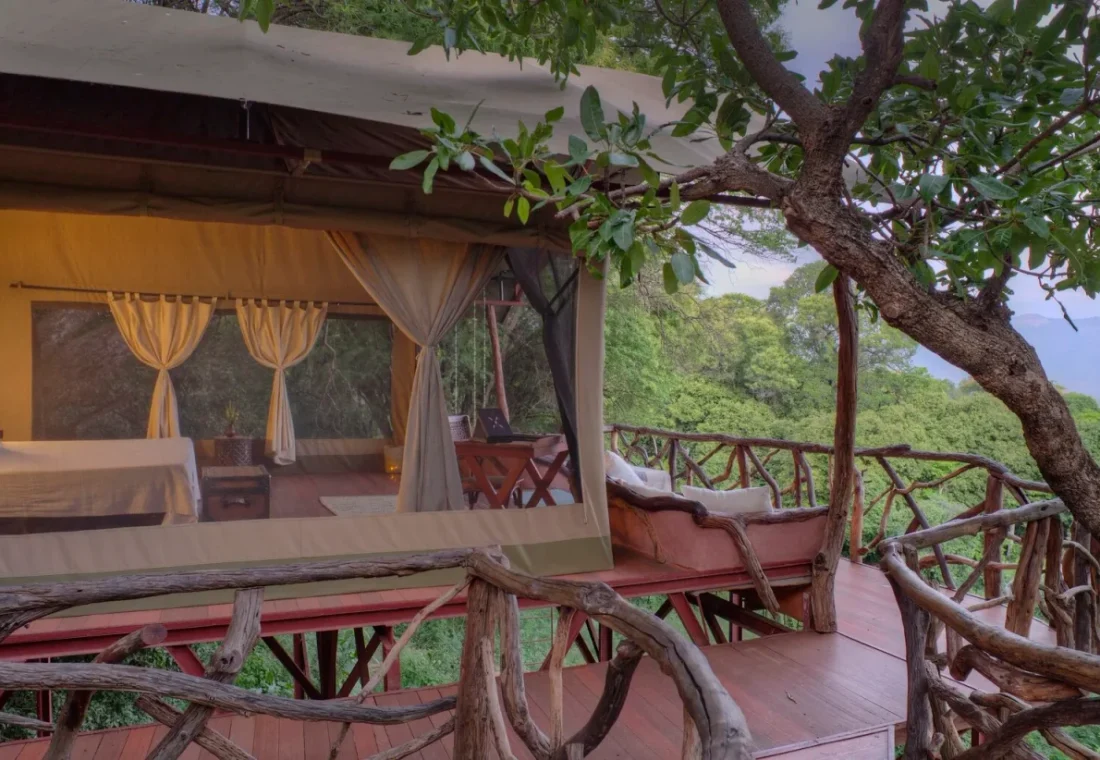 Sarara Treehouses set among the woodland of Namunyak Conservancy in northern Kenya.