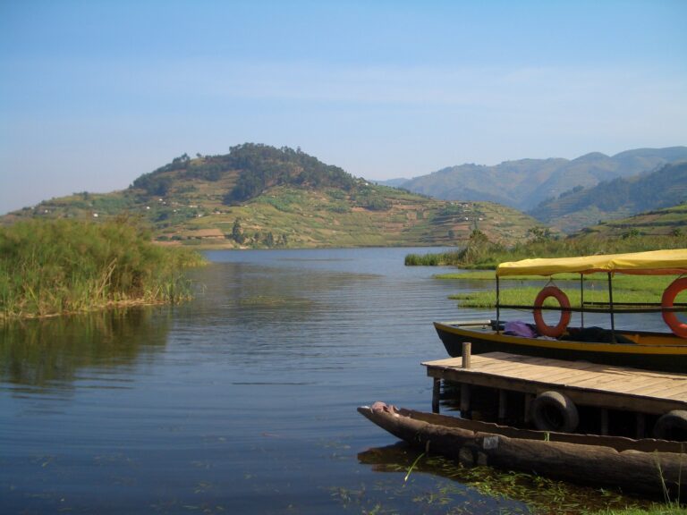 3-Day Private Fly-In Gorilla Journey