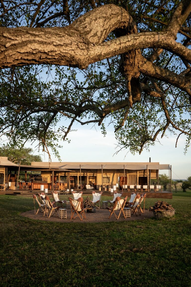 Guest tent and open grassland at Singita Sabora Tented Camp