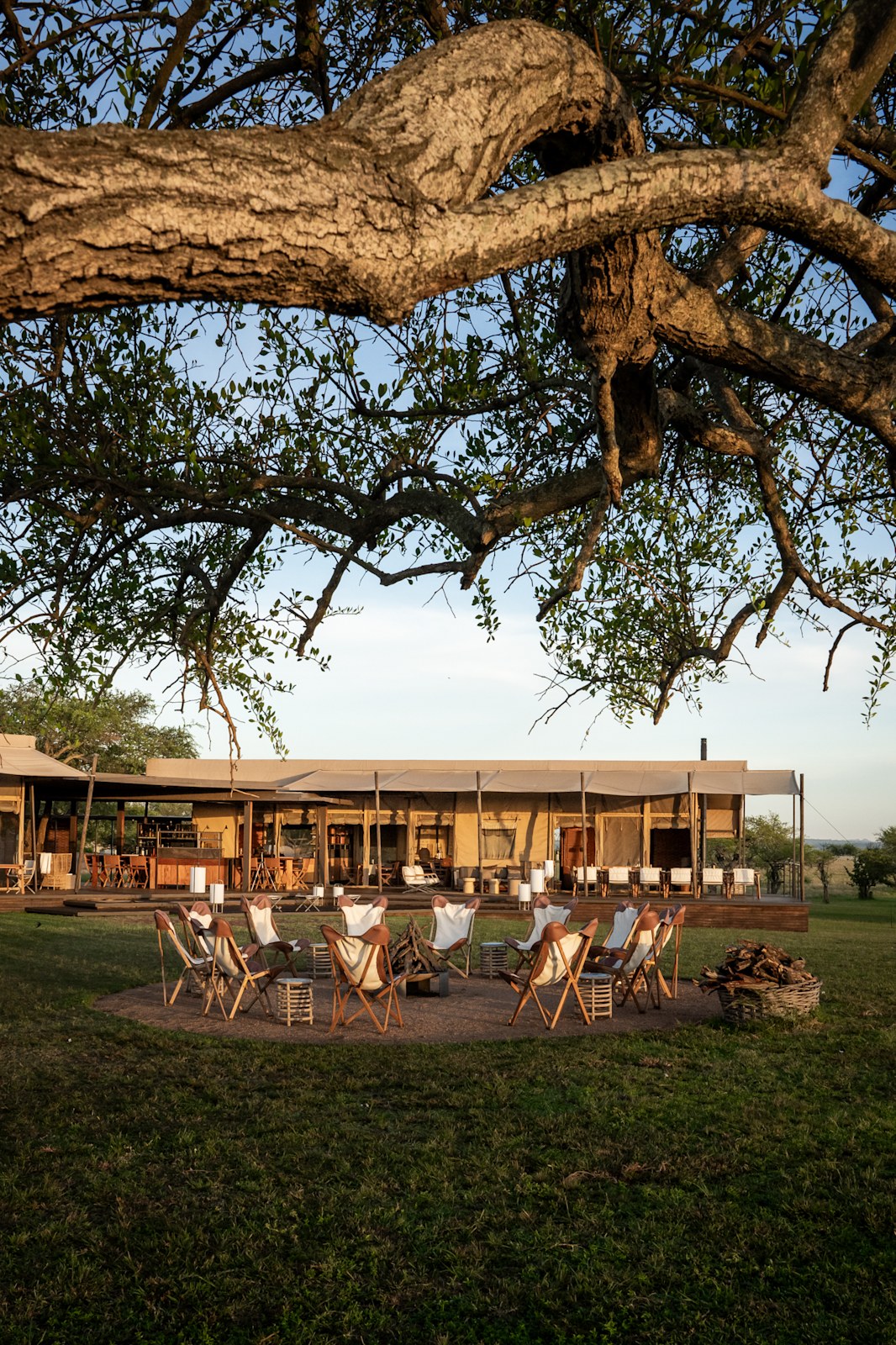 Guest tent and open grassland at Singita Sabora Tented Camp