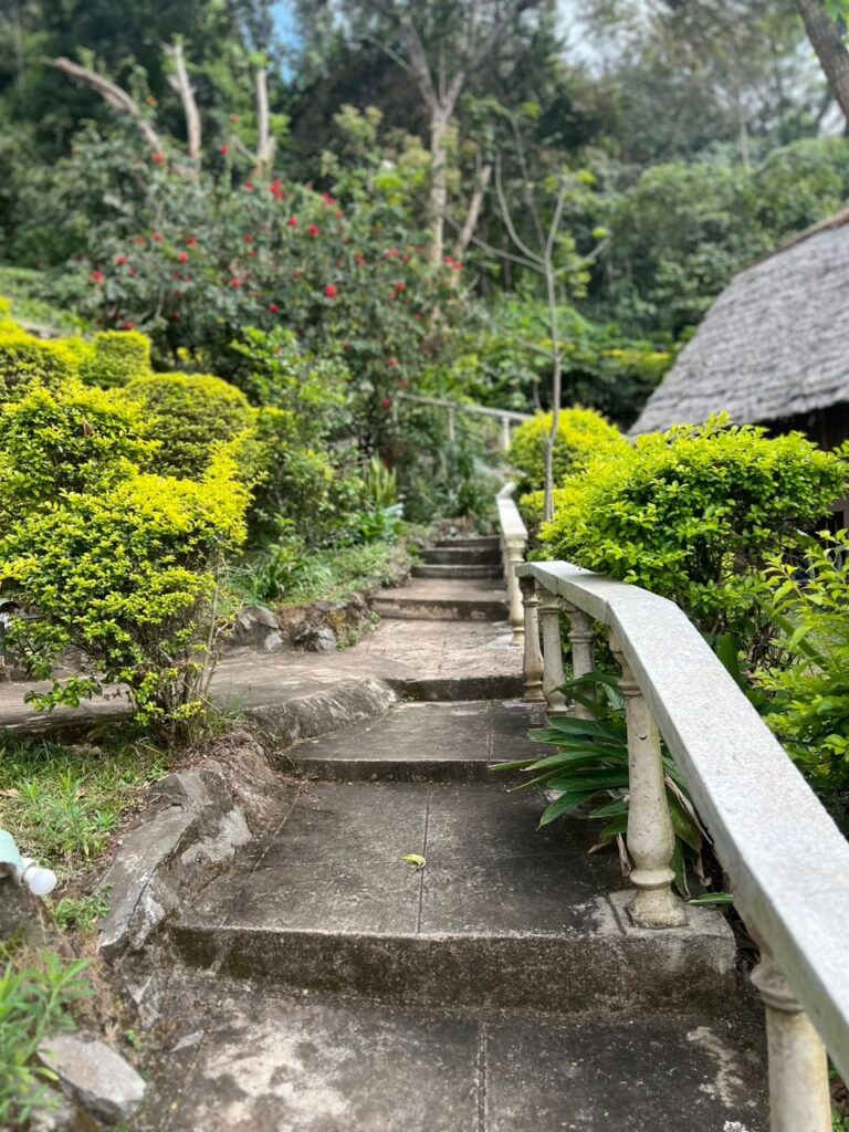 Garden path and thatched building at Karama Lodge in Arusha