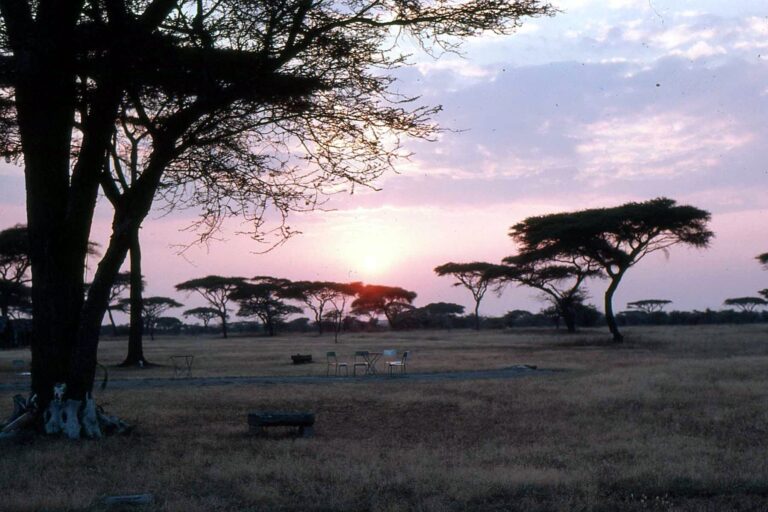 Evening light at Ndutu Safari Lodge in the Ngorongoro Conservation Area
