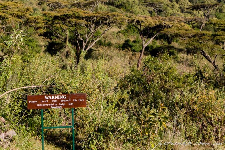 Ngorongoro Serena Safari Lodge built into the crater rim landscape
