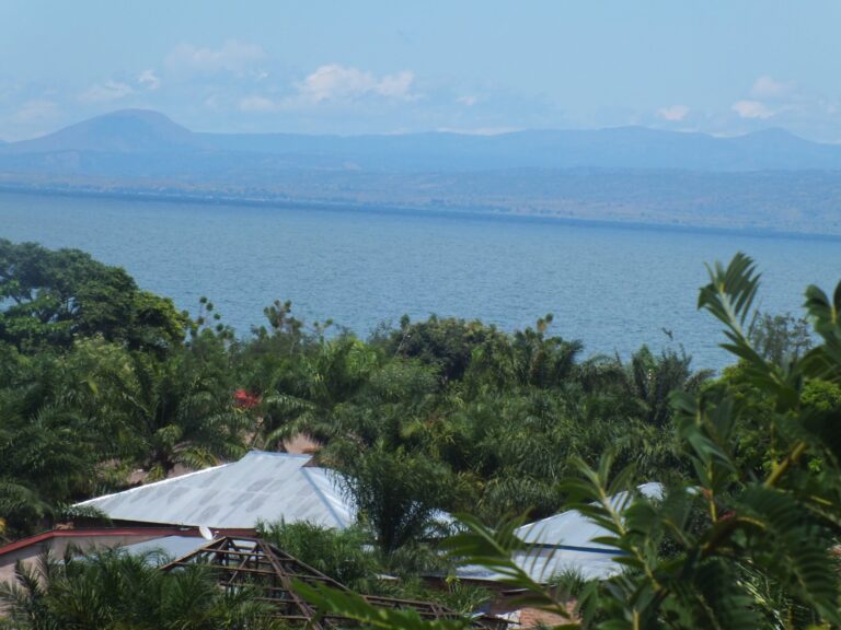 Lake Tanganyika and the forested Tanzania shoreline